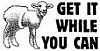 SheepJeep's Avatar
