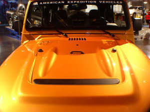 AEV TJ hood