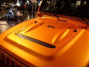 AEV TJ hood
